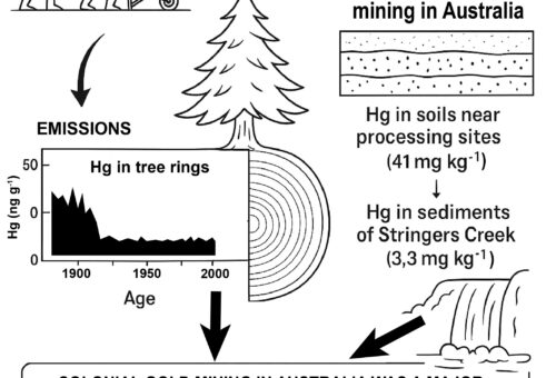Australia’s Forgotten Mercury Legacy: What the Trees of Walhalla Reveal